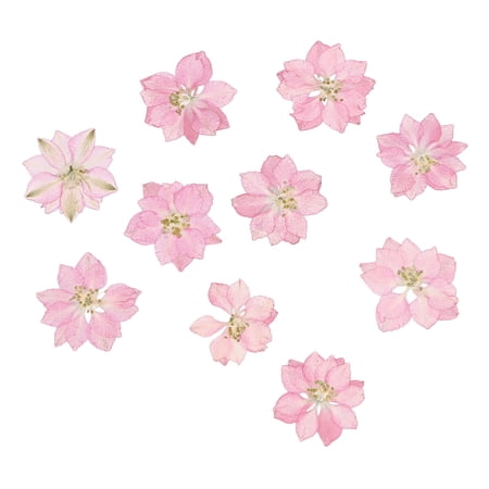 20 Pcs Edible Pressed Flowers Plant Phone Shell Decoration M Pink