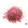 thumbnail image 2 of Kit de manualidades Rose Greenery 4 piezas Strade Fareast Limited, 2 of 7