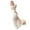 White, variant on Ladies Girls Neon Sexy Long Fingerless Fishnet Lace High Elasticity Gloves Under $10