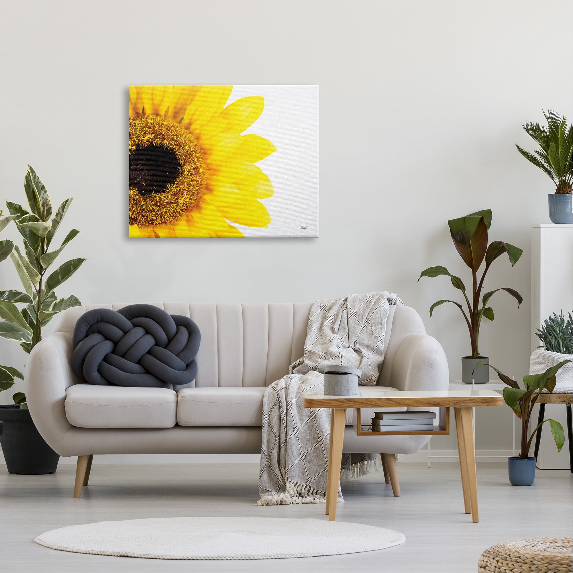 Stupell Industries Detail of Sunflower Disk And Petals Photograph,40 x 30, Design by Donnie Quillen