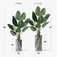 thumbnail image 2 of Artificial Tree in Modern Planter, Fake Bird of Paradise Silk Tree for Indoor and Outdoor Home Decoration - 58" Overall Tall (Plant Pot Plus Tree), 2 of 5