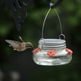 thumbnail image 3 of Nature's Way Hanging Glass Mason Jar Hummingbird Feeder for Outdoor Décor, 6 Ounce Nectar Capacity, 4 Easy To Clean Flexible Flower Ports, Clear, 3 of 10