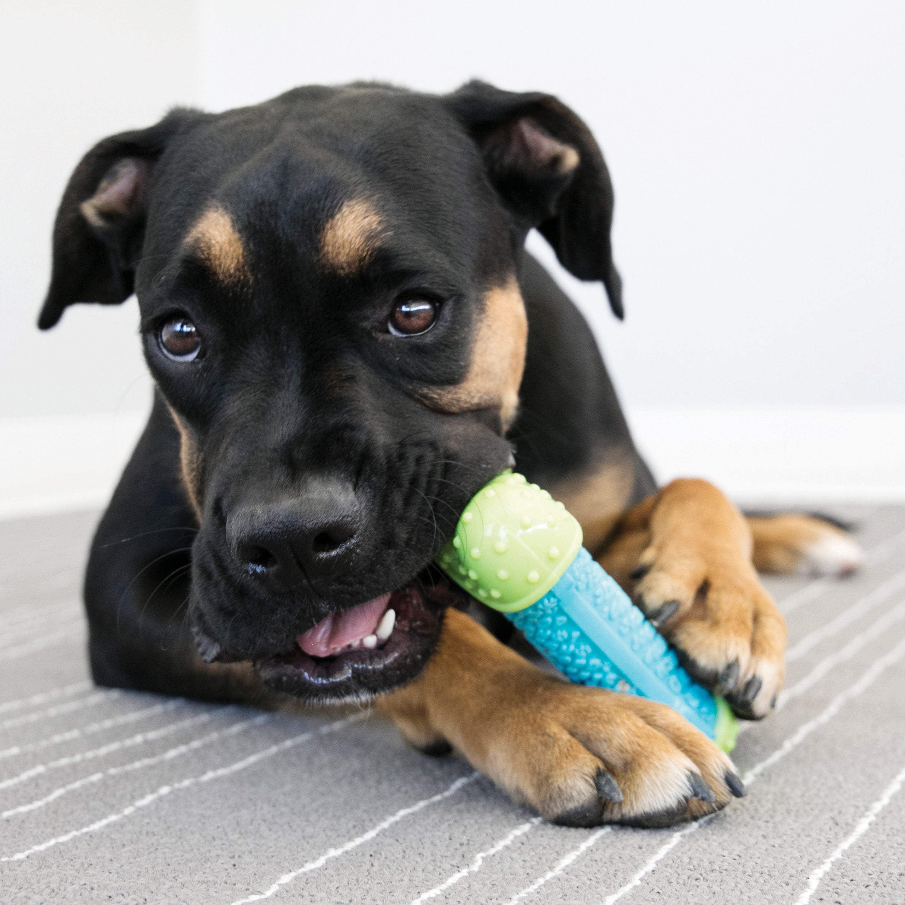 KONG® CoreStrength Bone, Medium/Large, for Dogs Between 30-65 lbs