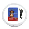 thumbnail image 3 of LED Dog Collar TeqHome USB Rechargeable Flash Dog Necklace Light Collar Adjustable Reusable for Large Dogs (27.55"), 3 of 11
