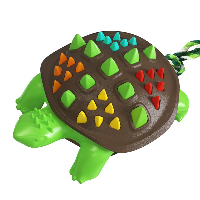 Tortoise Ropes Dog With Toothbrush Clip Art