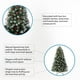thumbnail image 4 of Árbol de Navidad Naomi Home Vancouver de 2,3 m con 550 luces, 4 of 9