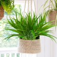 thumbnail image 2 of 4/8Pcs Artificial Grass Plants Outdoor UV Resistant Fake Faux Greenery Stems for Home Window Garden Office Patio Pathway Front Porch Garden Décor, 2 of 7