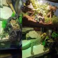 thumbnail image 3 of Comedero de Agua para Comida Wosthever para Reptiles Resina Decorativo Fácil de Limpiar, 3 of 6