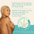 thumbnail image 3 of Aveeno Calm + Restore Body Wash, Anti Oxidant Oat, Aloe, Pro-Vitamin B5, Sensitive Dry Skin Care, Fragrance Free, 532-mL, 3 of 7