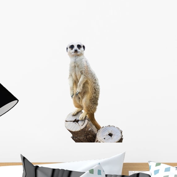 Suricata Wall Decal by Wallmonkeys Peel and Stick Graphic (18 in H x 11 in W) WM251931