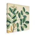 thumbnail image 2 of Trademark Fine Art 'Garden Bounty IX' Canvas Art by Vision Studio, 2 of 4