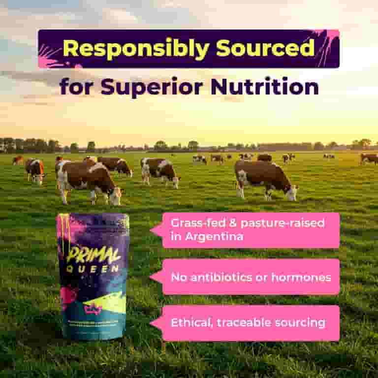 can you take primal queen with glp 1 Primal Optimized Beef__Superfood_Supplement 60 Count - 2 Pack