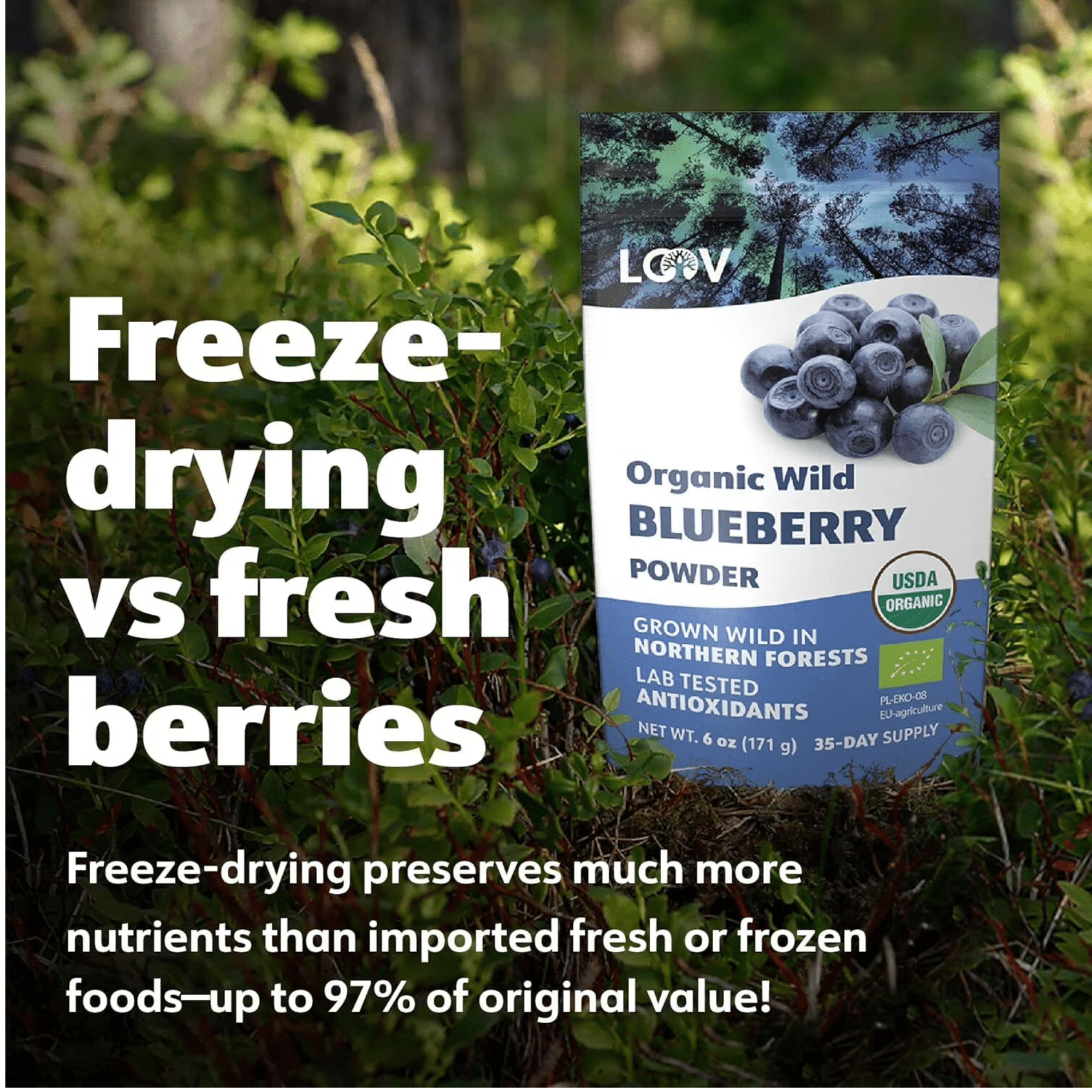 LOOV Organic Wild Blueberry Powder - 6 oz - 35-Day Supply - No Added Sugar