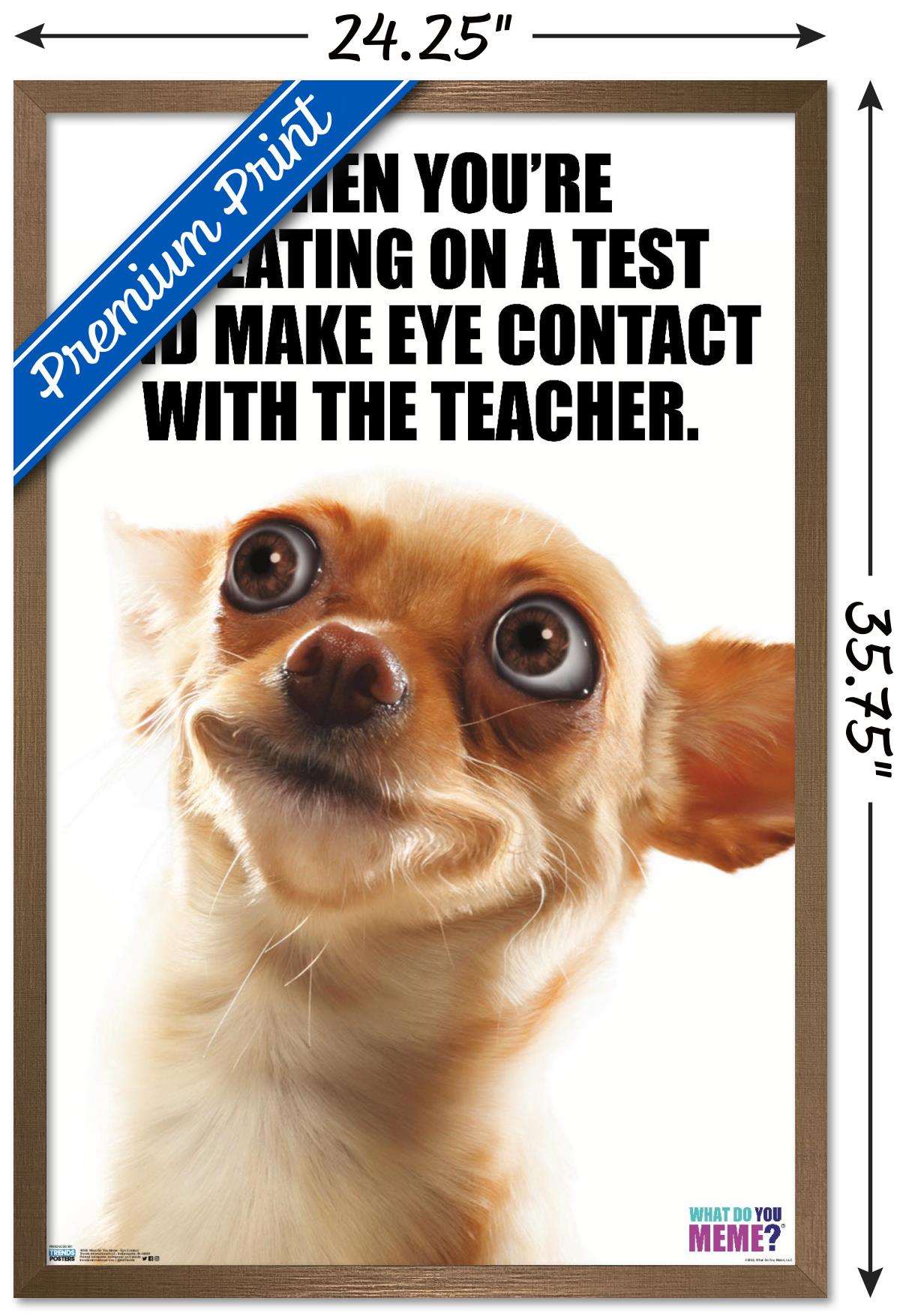 What Do You Meme - Eye Contact Wall Poster, 22.375" x 34", Framed