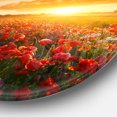thumbnail image 3 of Designart - Beautiful Poppy Field at Sunset' Abstract Round Circle Metal Wall Art, 3 of 4