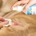 thumbnail image 4 of Antiséptico para heridas Sanicyl Frasco con atomizador 240 ml Uso veterinario, 4 of 4