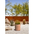 thumbnail image 4 of Veradek Demi Series 12" Plastic-Stone Planter - Terracotta, 4 of 10