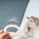 thumbnail image 4 of Pet Life 'Knuckler' Peine rastrillo para mascotas de viaje flexible y portátil, 4 of 4