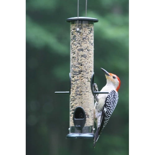 Birds Choice Large Economy Tube Feeder 4 Ports