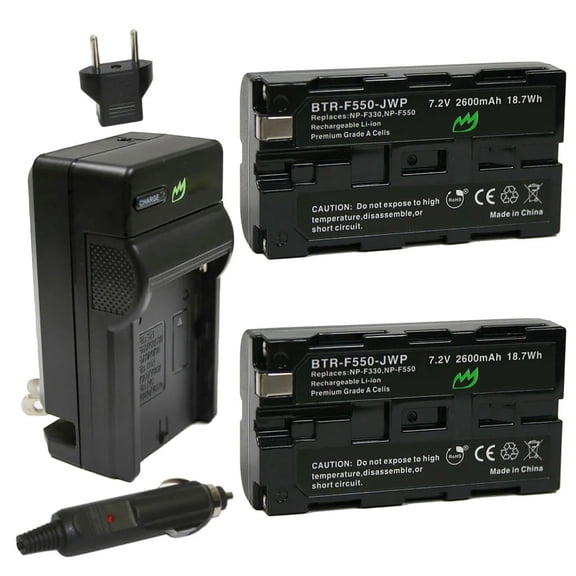 Replacement for Sony DCR-TRV310 Battery (2-Pack, 2600mAh) and Charger with Car Adapter