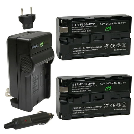 Replacement for Sony NP-F530 Battery (2-Pack 2600mAh L-Series) and Charger with Car Adapter