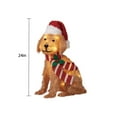 thumbnail image 4 of Holiday Time 24" Light-up Plush Golden Dog, with 30 Warm White LED Lights, 4 of 4
