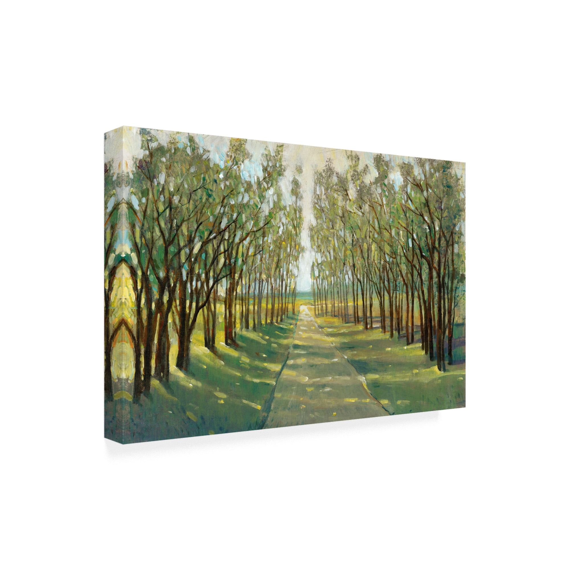 Trademark Fine Art 'Forest Path' Canvas Art by Tim OToole