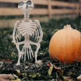 thumbnail image 3 of 2 Pcs Mini Figurine Halloween Animal Skeleton Halloween Skeleton Props Halloween Skeleton Decorations, 3 of 4