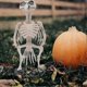 thumbnail image 3 of 2 Pcs Mini Figurine Halloween Animal Skeleton Halloween Skeleton Props Halloween Skeleton Decorations, 3 of 4