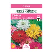 Ferry-Morse 37.5MG Zinnia Giant Cactus Flowered Mixed Colors Flower Seeds Packet