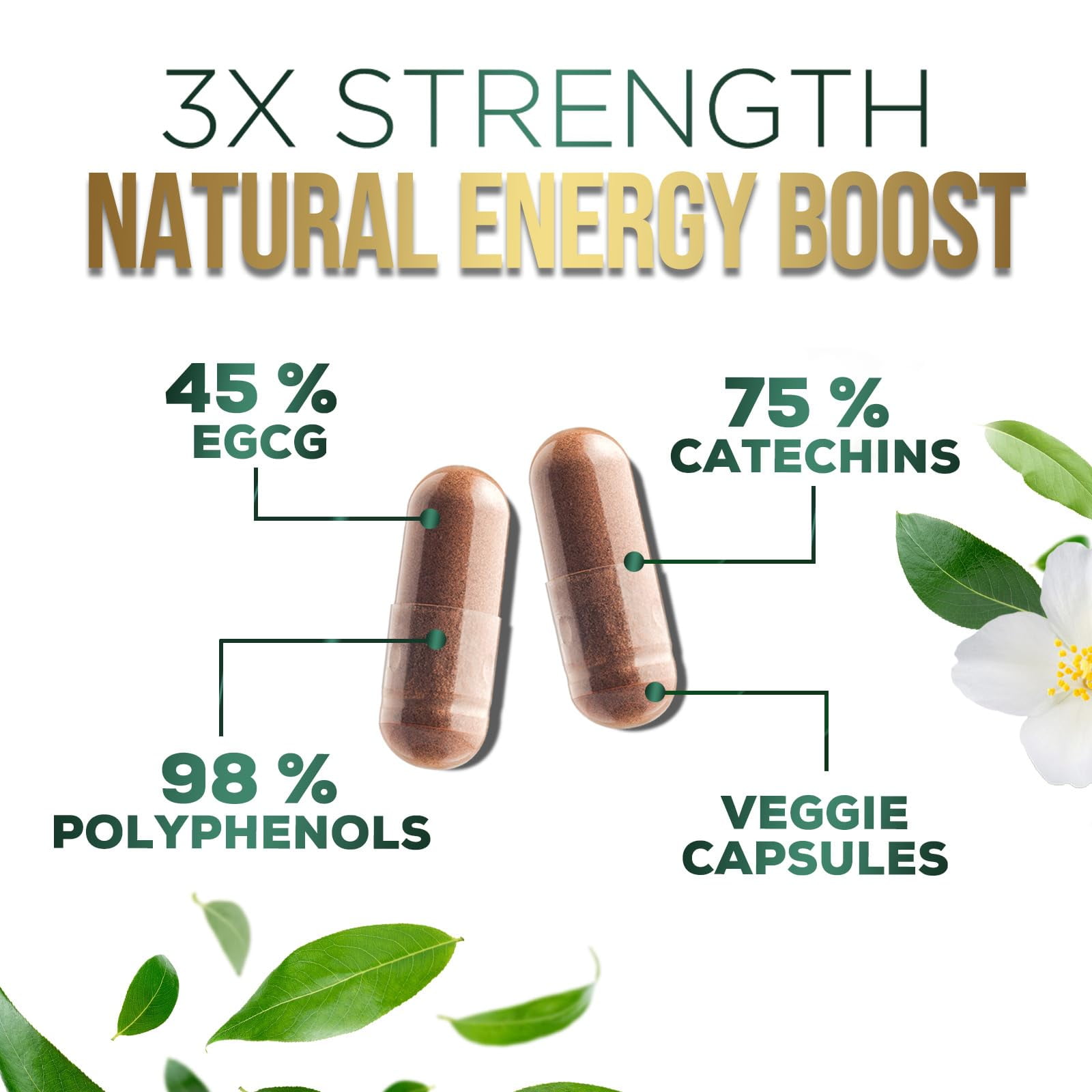 Green Tea Extract 1000mg Per Serving - 98% Polyphenols & 45% EGCG Capsules, Heart Support with Antioxidants - 3X Absorption Green Tea Pills Supplement, Natural Energy, Gentle Caffeine - 240 Capsules