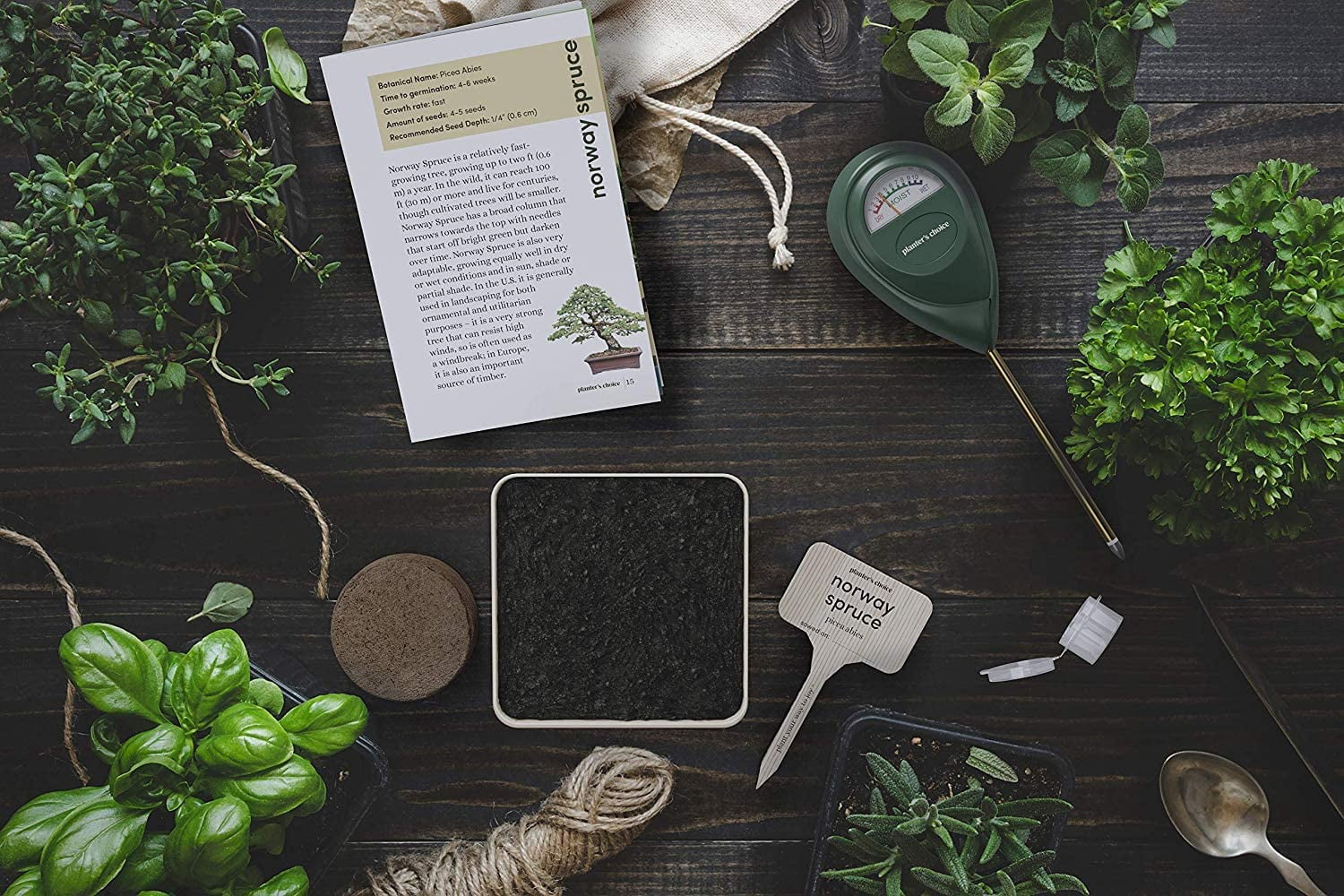 Planter's Choice Bonsai Tree Growing Kit - Grow 4 Indoor Bonsai Trees - Plant a Garden from Seeds - Unique Gardening Gifts for Women & Men Gardeners : Unusual Gift Ideas - Adults Gardener Gifts