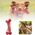 thumbnail image 1 of Jouet pour Chien en Caoutchouc Naturel : Os à Mâcher Indestructible & Bâton de Dentition Durable Parfait pour les Chiens de Grande Race Qui Ne Mâchent Pas!, 1 of 4