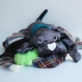 thumbnail image 2 of Manimo: Chien / 2 kg, 2 of 4