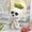 White Size C4, variant on Hand-painted Halloween Skull Flower Pot, Wenini Resin Skull Planter Do Not Listen Do Not Say Do Not See, Outdoor Decorative Ornament for Halloween Party Garden Home Decor, White