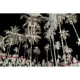 thumbnail image 3 of Phillip, Jamie 18x13 Black Modern Framed Museum Art Print Titled - Miami Beach, 3 of 5