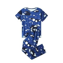 SWSMCLT Women's 2 Piece Pajama Set Short Sleeve Crew Neck Pajamas Pjs Soft Thin Fall Summer Comfy Loose Blue X-Large