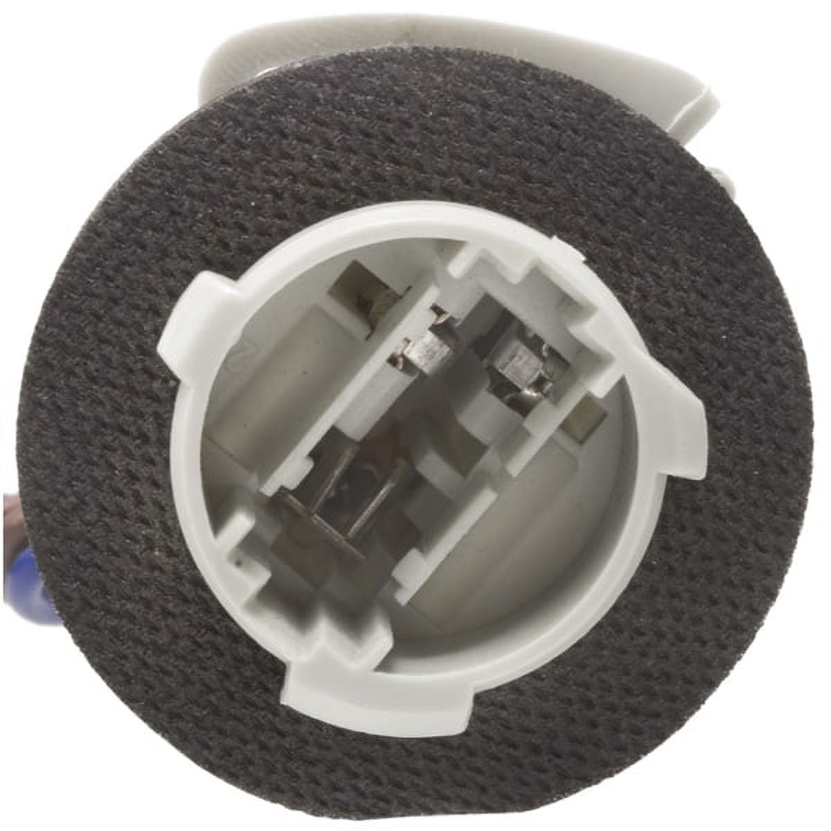 Parking Light Bulb Socket