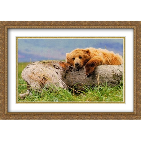 Life's a Bear 2x Matted 40x28 Large Gold Ornate Framed Art Print by Thomas Mangelsen
