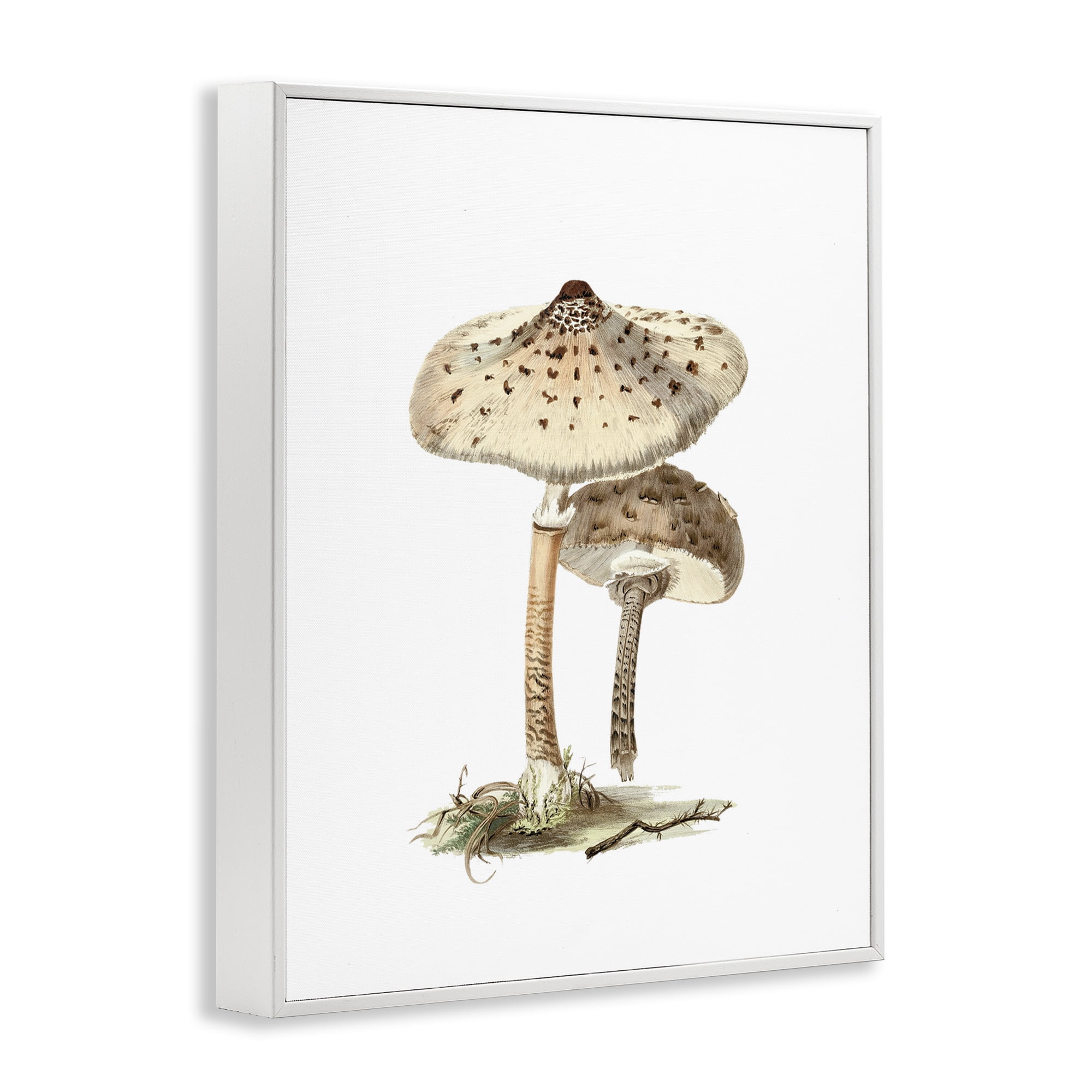 Stupell Industries Neutral Brown Mushrooms Botanical & Floral Painting White Framed Art Print Wall Art, 11 x 14