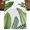 white, variant on Table Runners 72 Inches Long Dress Scarves, Green Leaves Farmhouse Kitchen/Dining Table Runner, Coffee Tablerunners, Tropical Summer Botanical Watercolor Elegant Wooden 18x72 Inch