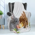 thumbnail image 4 of Easter Bunny Soft Flannel Fleece Throw Blanket, Photo of 2 Easter Rabbits Grey and Brown with Flowers and Eggs Spring Time, Cozy Plush for Indoor and Outdoor Use, 60" x 80", Multicolor, by Ambesonne, 4 of 5