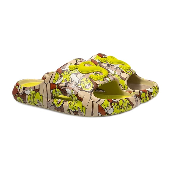 Shrek Little & Big Boys Comfort Slide