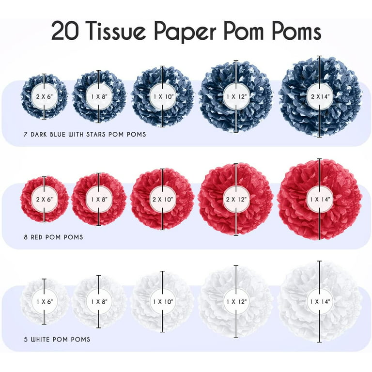 Multicolor Paper Pom Poms (20 Pack) - Avoseta