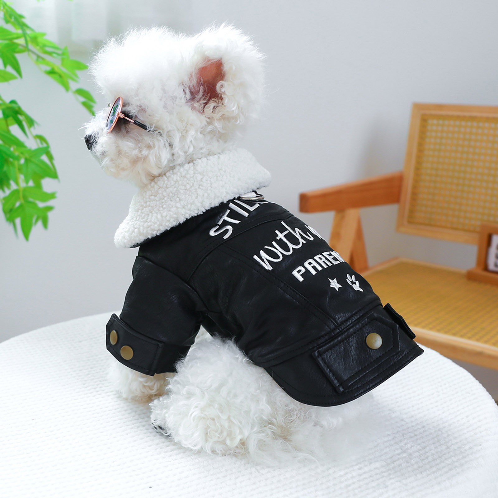 Mengzhiii Pet Circle Dog Cat Clothes Thick Thick Padded Coat Good Son ...