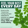 thumbnail image 6 of Force Factor Modern Moringa Soft Chews to Support Energy, Hair, Skin, Nails & Immune Health with Antioxidants, Minerals + B Vitamins & Vitamin D, Strawberry Passionfruit, 60 Soft Chews, 6 of 14