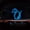 Blue, variant on Reflective Cat Rear Wiper Sticker, Waterproof Moving Tail Decal for Cars and SUVs (Blue)