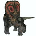 thumbnail image 2 of Torosaurus  a herbivorous dinosaur from the Late Cretaceous Poster Print, 2 of 2