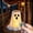 White C, variant on USB Powered Halloween Ghost Candy Bowl Stand with Remote, 29.9in Glowing Ghost Candy Holder, Indoor Outdoor Decor for Porch, Yard & Doorway