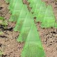 thumbnail image 3 of 30 piezas Cuadrado repetible para usar fuelle de plantas para proteger las plantas de pájaros, heladas, caracoles, verde. Sailing Electrónica, 3 of 5